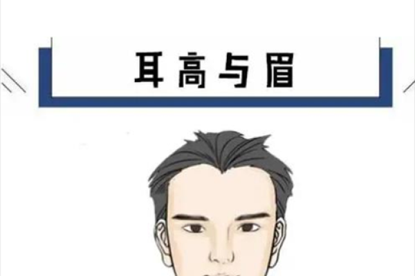 眉毛有八字的人：命运解读与生活启示