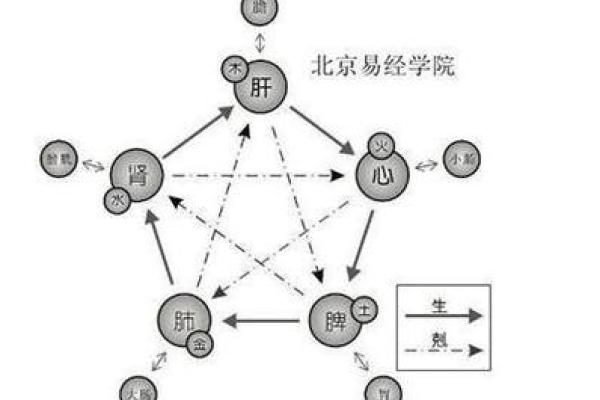 六十岁属什么命：五行与生命的哲学探讨