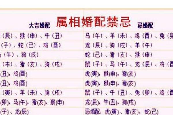 命格不合：如何通过生肖解析人际关系的密钥