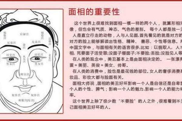 揭秘命理中的半合之象：探索你命运的秘密