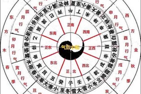 玫瑰的五行解析：揭示其命理与性格的奥秘
