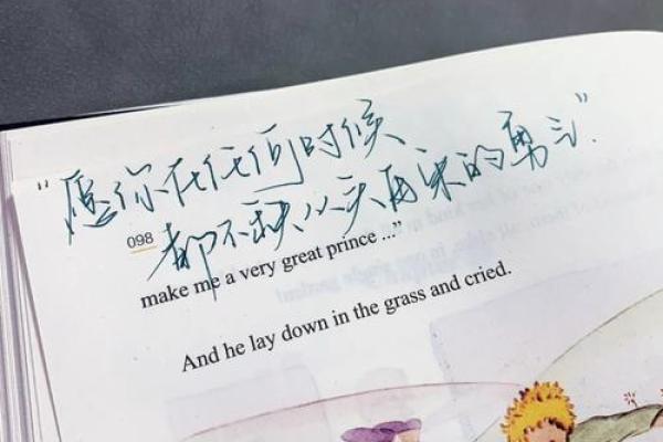命里有丁卯，命运的独特魅力与人生旅途的启示