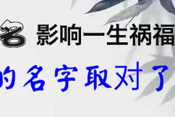 男命主破军的深刻解析与命运轨迹