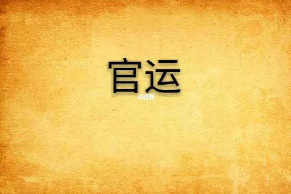 命带官印：探寻命理与官职之间的神秘联系