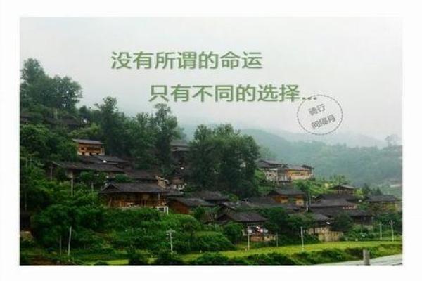 命带正偏宫：解读不一样的命运轨迹与人生选择
