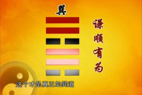 男命与女命的缘份：命理角度看爱情与婚配的秘密