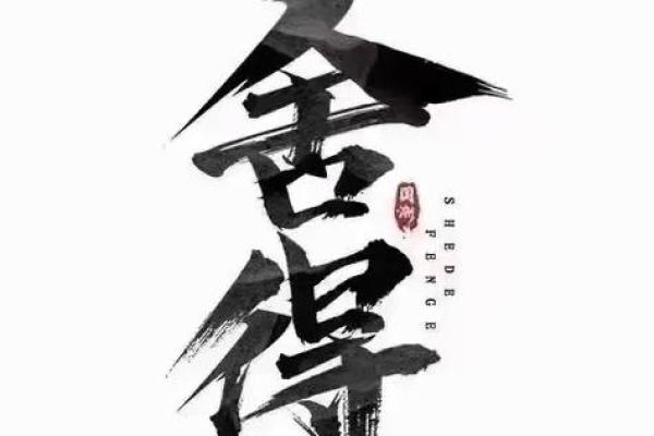 揭开命里算高命的神秘面纱，让你的人生更加精彩！