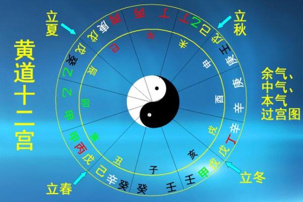 论“地支一巳”命的深刻内涵与实践意义探讨