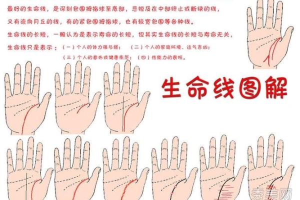 命中缺财的女性命理解析：从运势看人生的精彩与挑战