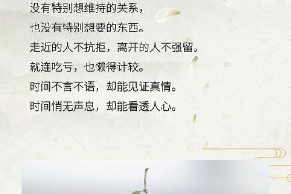 男子嫌老娘命太长，背后隐藏的情感故事与家庭关系