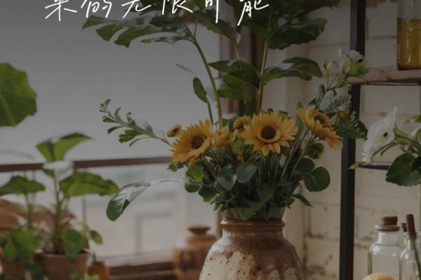 女命十五生：绽放光彩的无限可能