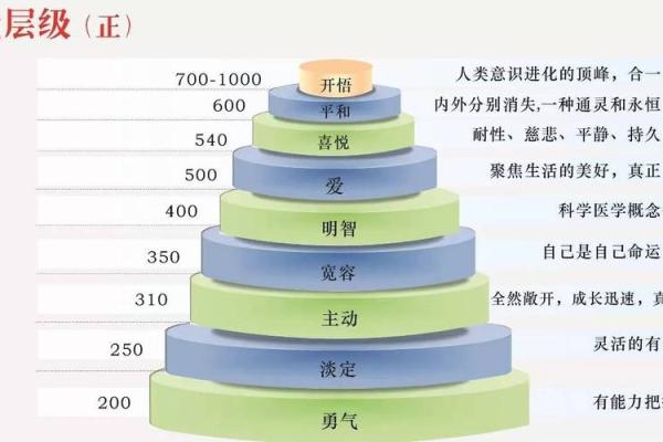 探索命宫与日月角，揭示你的命运秘密！