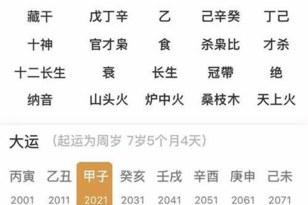 男命伤官见官的危害及其应对策略解析