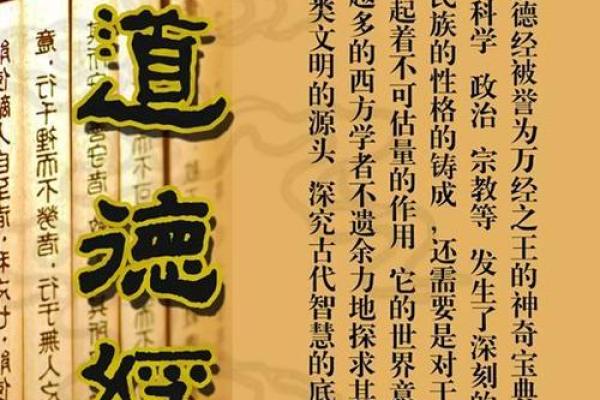 龙眼木命与其它命相配的智慧人生哲学