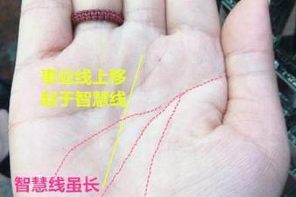 探秘女命4.8：揭示命运背后的密码与智慧