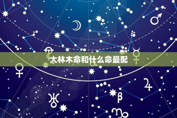 木命者的命运解析：遇见什么命运更佳？