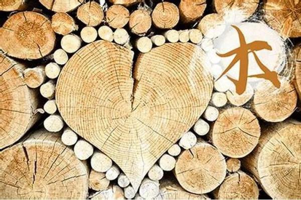 缺水的木命土多家庭如何提升运势与生活品质