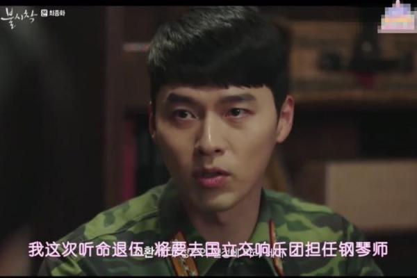 没有爱情的命格：孤独与成长的交响曲