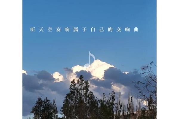 没有爱情的命格：孤独与成长的交响曲