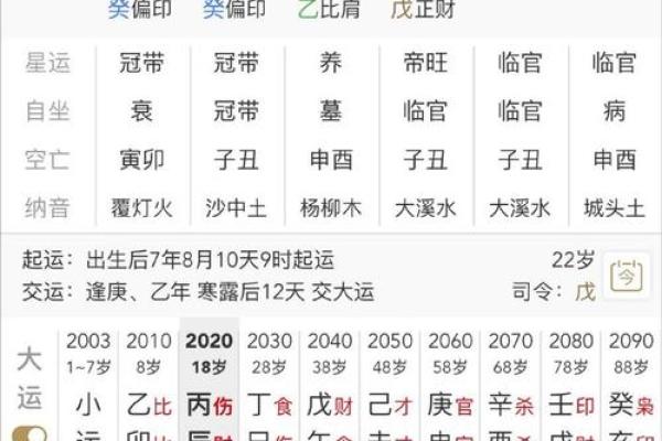 官杀星透，剖析男命命格的深层奥秘