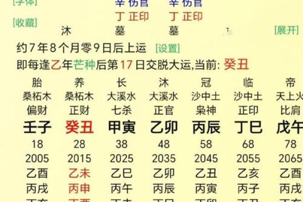 零六年出生者的命理解析：天赋与运势的完美结合