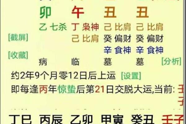 零六年出生者的命理解析：天赋与运势的完美结合