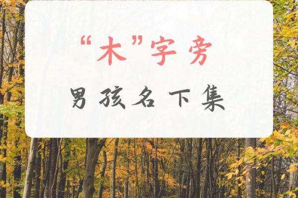 男孩木命取名字的最佳选择与寓意探讨