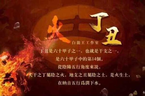 丁火男命与儿子的命运启示