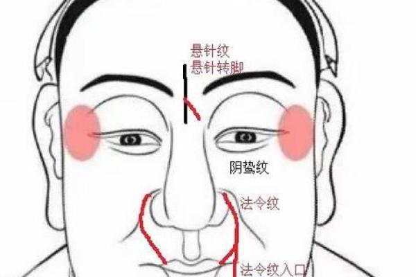 从面相看命运：揭示你命中注定的秘密