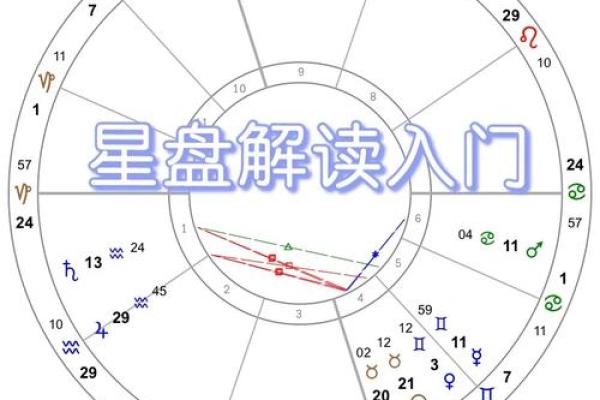 龙命理，魅力男生的命格解密与人生哲学