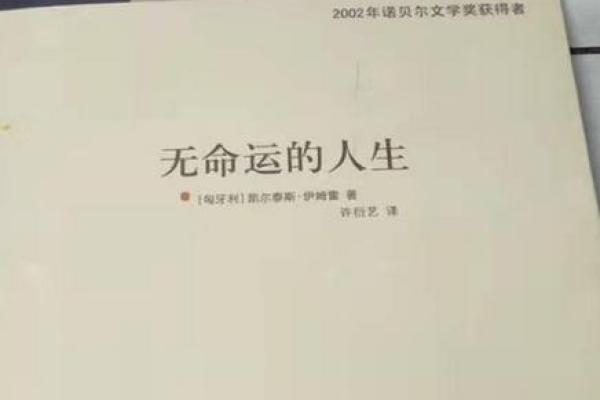 前额有旋的男生命理分析：命运的秘密与人生的选择
