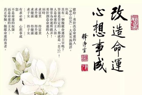 命里带水的含义与生活启示