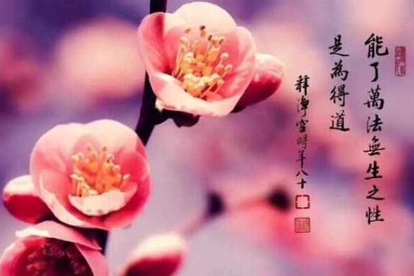 命里带水的含义与生活启示