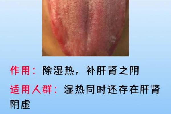 了解命理中的阳虚：如何调理与恢复正能量