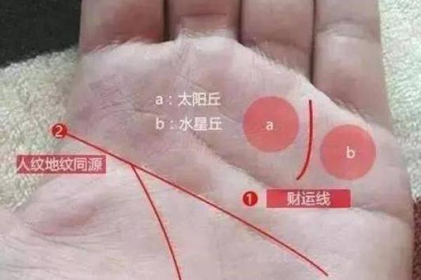 从女人手的男生看命格，揭示你的人生密码！