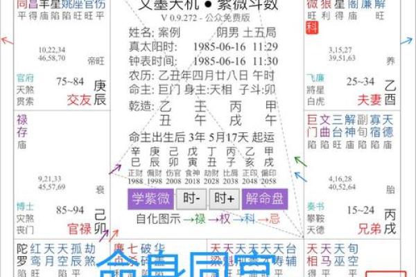 命宫戌身宫寅的命运解析：如何运用命理提升人生潜能