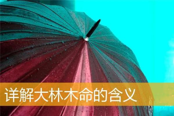 木命人适合居住的方位与环境解析：让生活更加和谐美好！