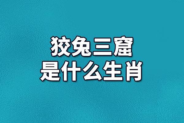 探秘命理：属鼠与属蛇的命运交错与相生相克