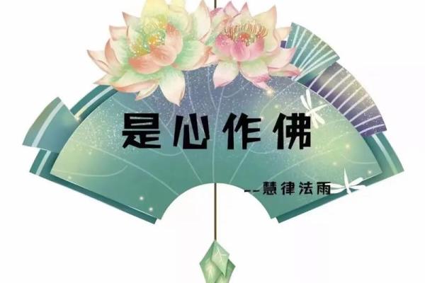 没有孩子的命与佛家的命：探寻生命的意义与智慧