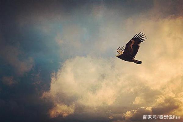 命格强硬的人：你知道他们的独特人生之路吗？