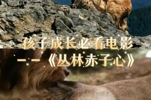 命已逝去，身外之物如何看待？生命的意义与价值重新审视