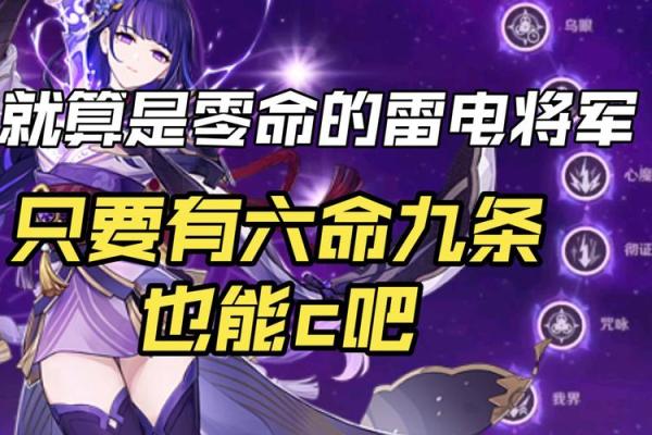 雷电将军满命解析：揭示命之背后的力量与智慧