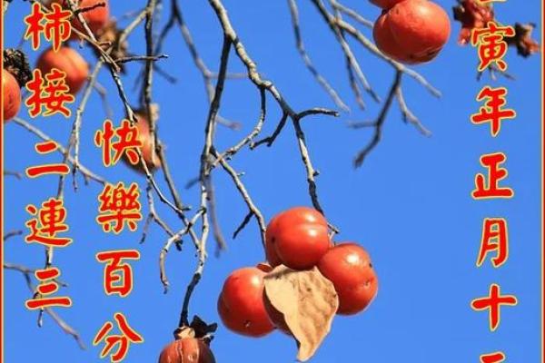 明年农历六月：与虎年命相伴的精彩生活旅程