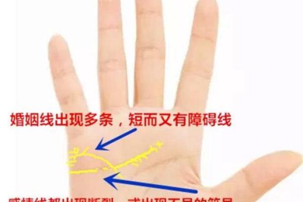 命格中土元素的力量：如何让你在人生的道路上多金多福？