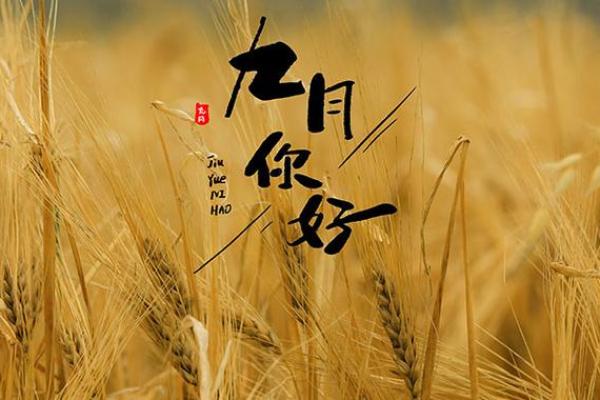 农历四月十九出生的人命理解析 理解五行影响与命运的秘密