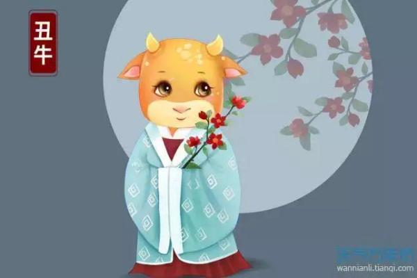 探索农历十二月出生的牛女命理与性格特点