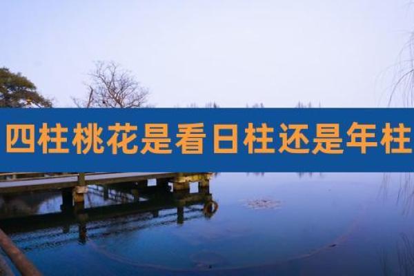 男命桃花在日柱的深刻意义与生活影响