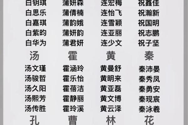 命带取命：探索命理中命运与人生的奥秘
