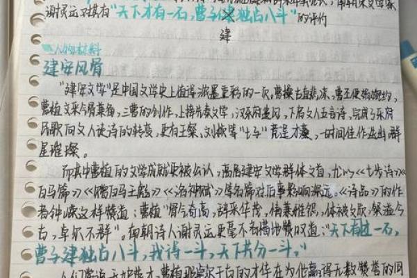 罗申明洛神命：命运中的美与灵魂的共鸣