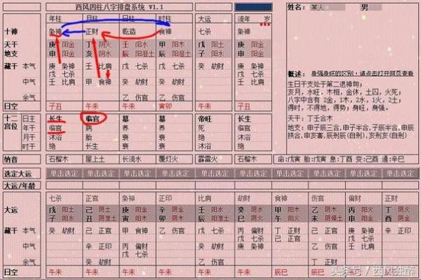 女命枭神解析：揭开命理中的神秘面纱